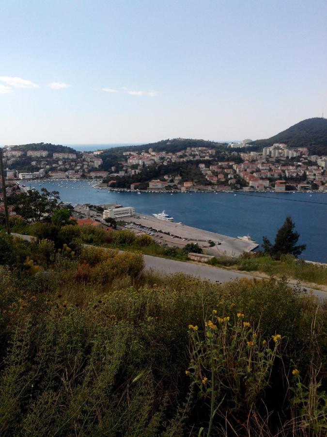 Guest House Taira Dubrovnik Kamer foto
