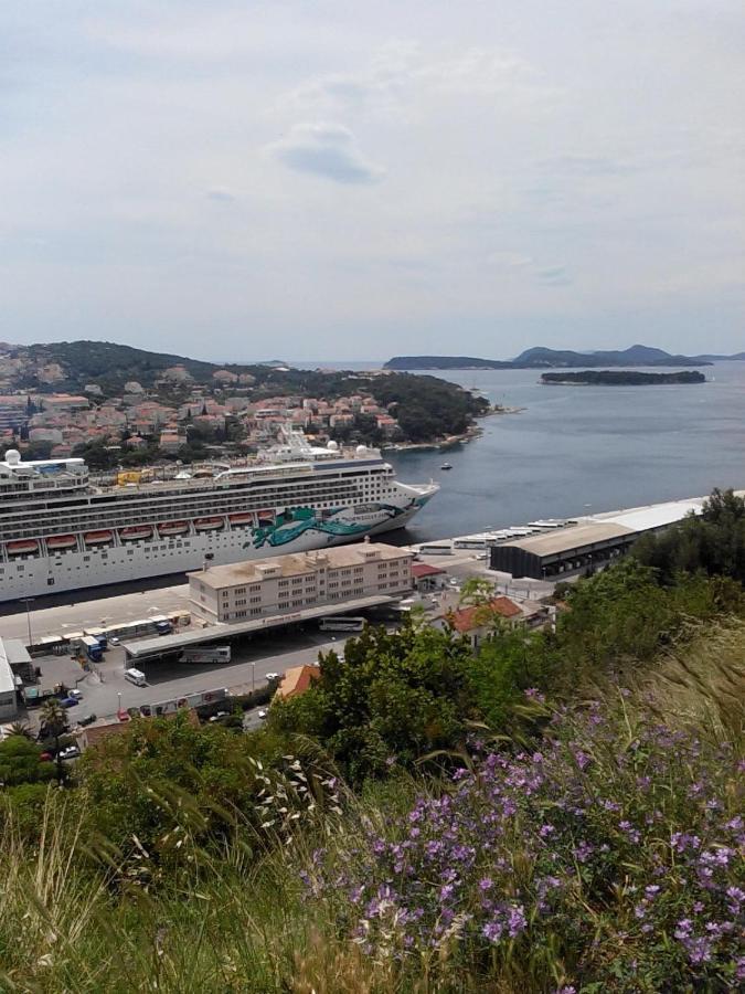 Guest House Taira Dubrovnik Kamer foto